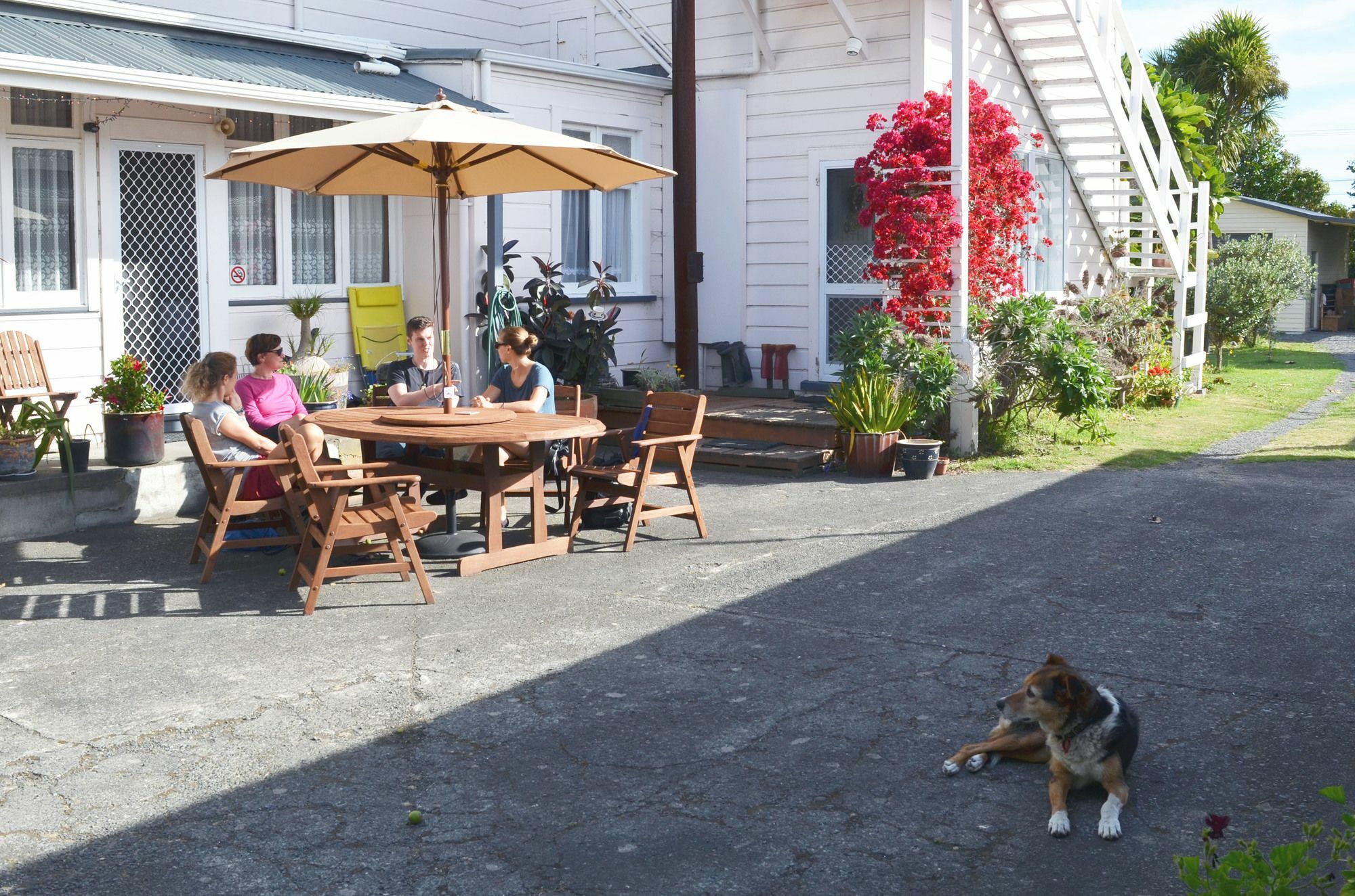Braemar House B&B And Yha Hostel Whanganui Eksteriør billede