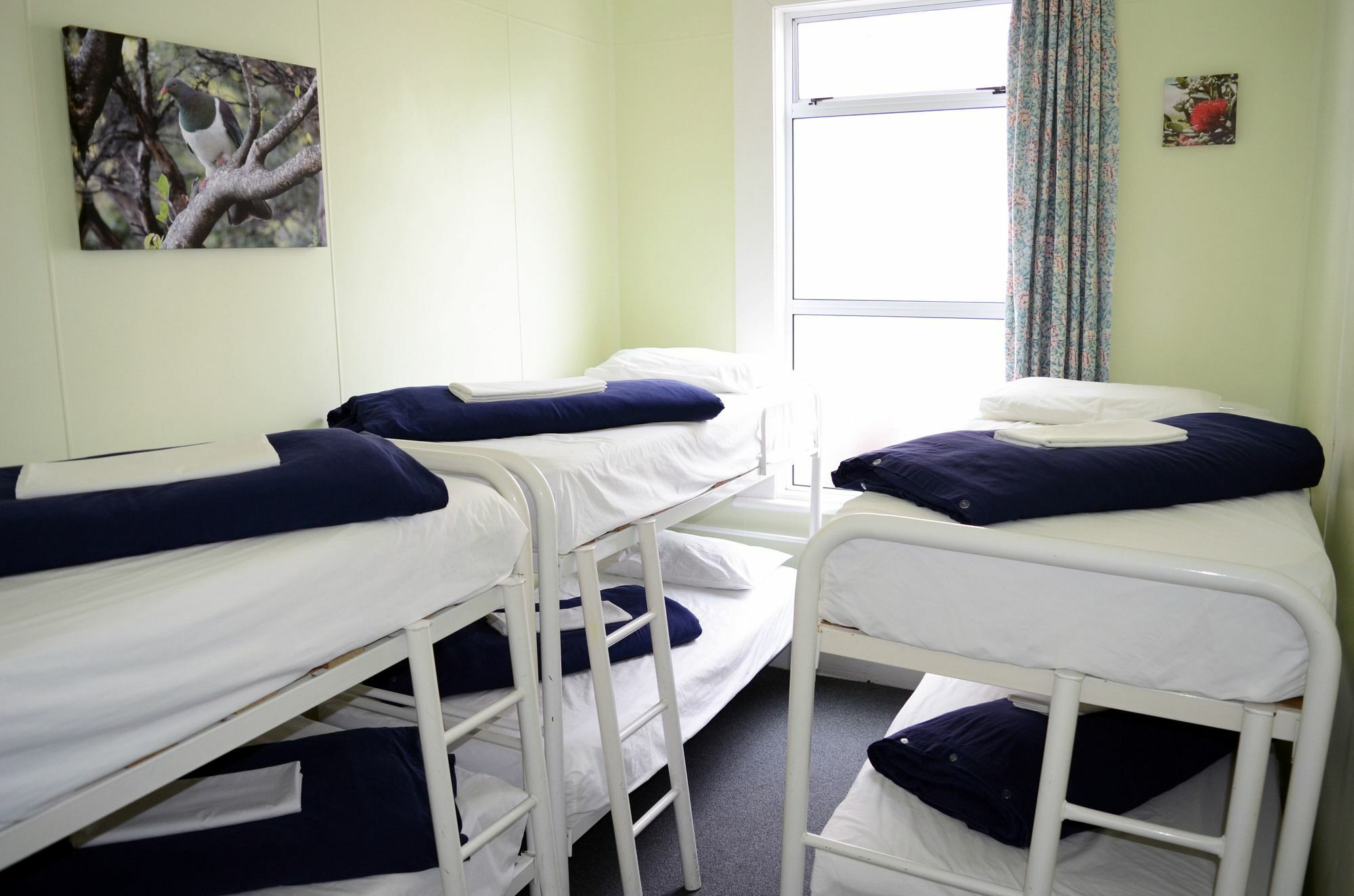Braemar House B&B And Yha Hostel Whanganui Eksteriør billede